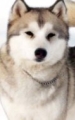Кода
