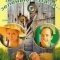 Постер Невозможные зеленые глаза (2002)