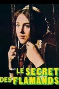 
Тайна фламандцев (1974) 