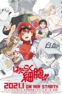 
Работа клеток (2018) 