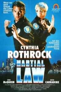 
Комендантский час (1990) 