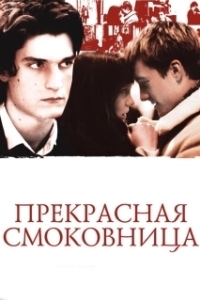 
Прекрасная смоковница (2008) 