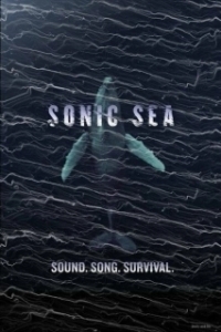 Постер Оглушающий океан (Sonic Sea)