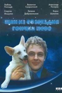 
Щен из созвездия «Гончих псов» (1991) 