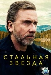 Стальная звезда (1-3 сезон) 
