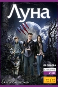 Постер Луна (La luna)