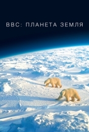 BBC: Планета Земля (1 сезон) 
