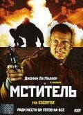 
Мститель (2001) 