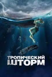 
Тропический шторм (2022) 