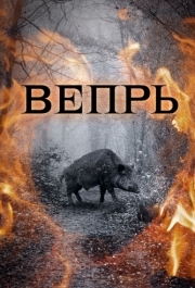 Вепрь 
