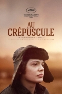 
В сумерках (2019) 