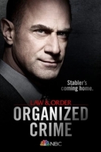 Закон и порядок: Организованная преступность (1-5 сезон) 
