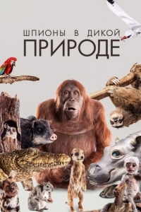 Постер Шпионы в дикой природе (Spy in the Wild)