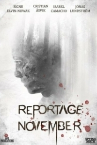 
Ноябрьский репортаж (2020) 