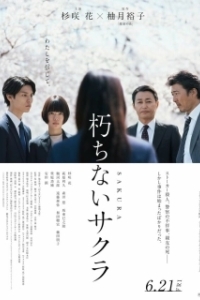 
Сакура (2024) 
