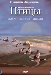 
Птицы (2001) 