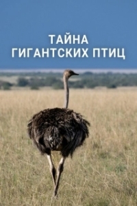 
Тайна гигантских птиц (2024) 