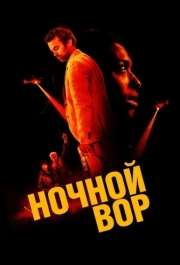 
Ночной вор (2024) 