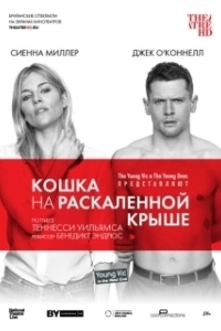Постер Кошка на раскалённой крыше