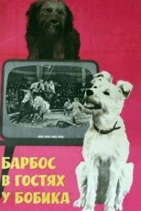 Постер Барбос в гостях у Бобика