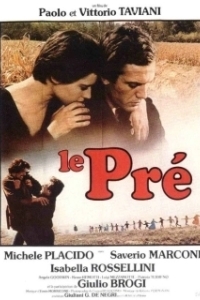 
Поляна (1979) 