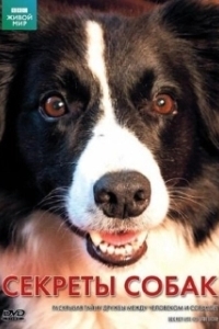 Постер BBC: Секреты собак (Secret Life of the Dog)
