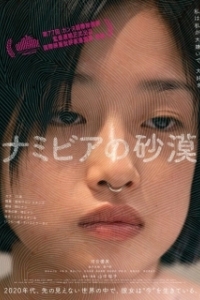 
Пустыня Намибии (2024) 