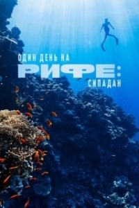 Постер Один день на рифе: Сипадан (A Day on the Reef: Sipadan)