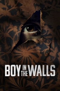 Постер Незнакомец за стенами (Boy in the Walls)