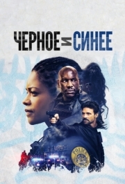 
Черное и синее (2019) 