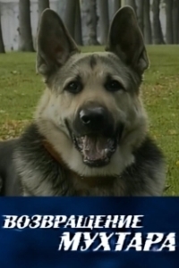 Возвращение Мухтара (1-10 сезон) 
