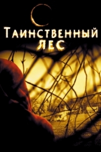 Постер Таинственный лес (The Village)