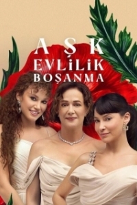 Любовь, брак, развод (1 сезон) 
