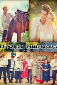 Гроздья винограда (1 сезон) 
