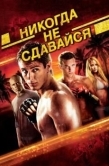 Постер Никогда не сдавайся (2008)
