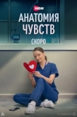 Постер Анатомия чувств (2026)