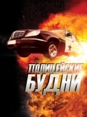 Постер Полицейские будни (2012)