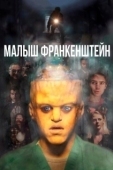 Постер Малыш Франкенштейн (2018)