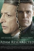 Постер Воскрешенный Адам	 (2008)