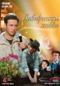 Постер Лабиринты любви (2007)