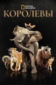 Постер Королевы (2024)