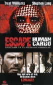 Постер Побег: Живой груз (1998)