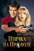 Постер Птичка на проводе (1990)