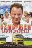 Постер Семь жен одного холостяка (2009)