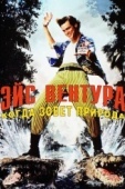 Постер Эйс Вентура 2: Когда зовет природа (1995)