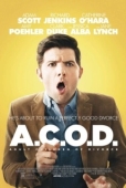 Постер Взрослые дети развода (2013)