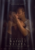 Постер Неаполь под пеленой (2017)