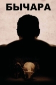 Постер Бычара (2011)