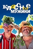 Постер Классные мужики (2010)