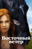 Постер Восточный ветер (2013)